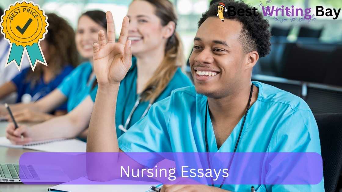 Nursing essay services