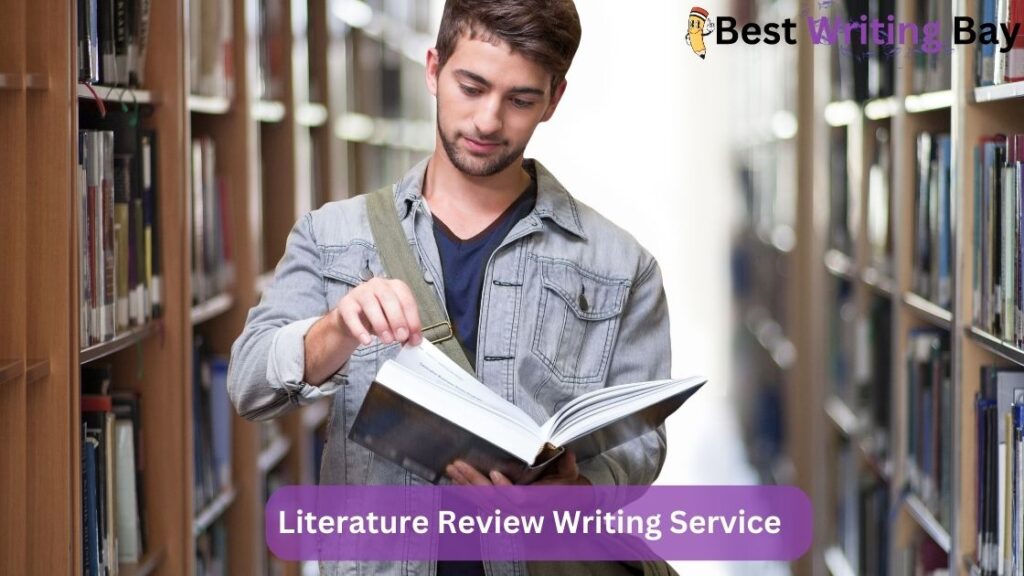 literature review writing services
