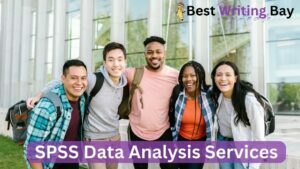 SPSS Data Analysis Services