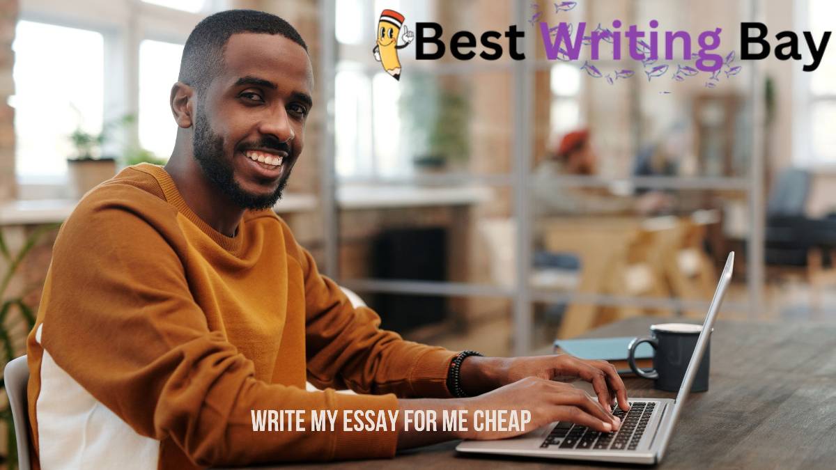 Write My essay for Me Cheap