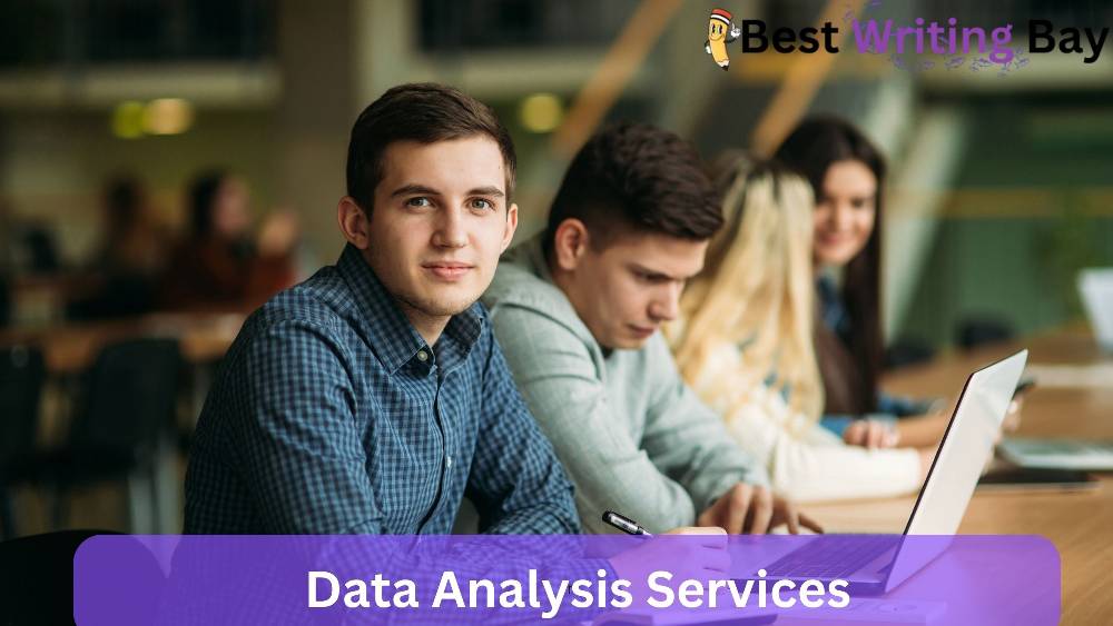 Dissertation Data Analysis Services