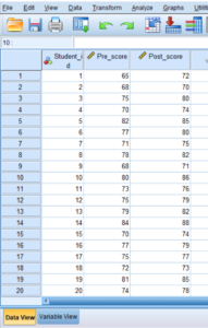 paired t test in spss data set up